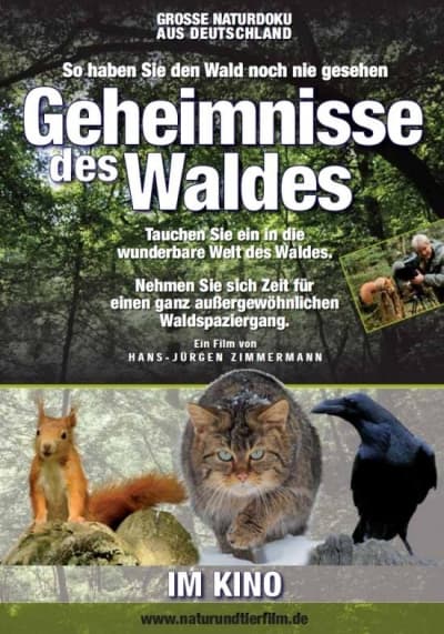Filmplakat Geheimnisse des Waldes